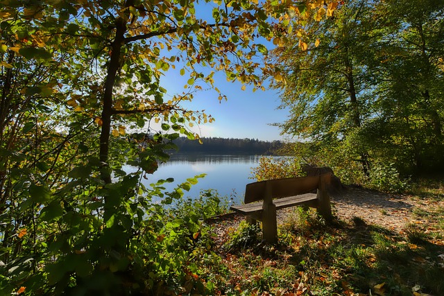 治的粉丝 治的粉丝