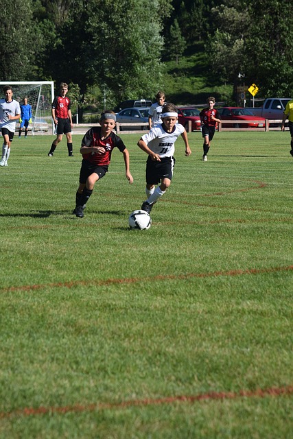 自我提升的 自我提升的