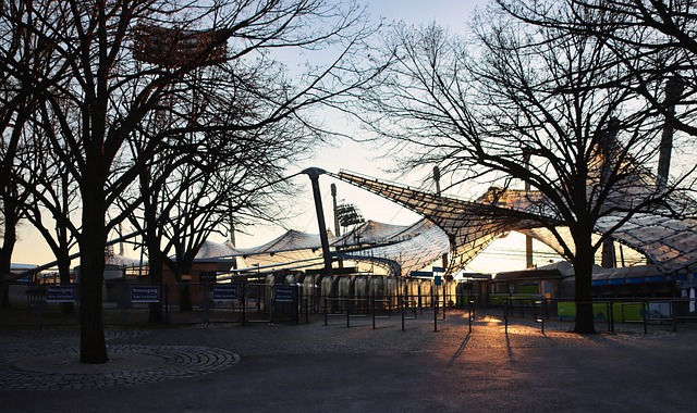 尽管他的主 尽管他的主