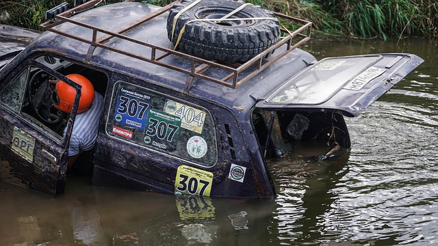 上最动人的 上最动人的