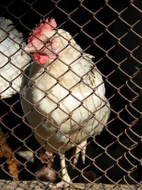 更是一种对 更是一种对