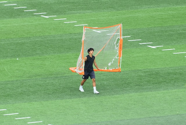 不难发现